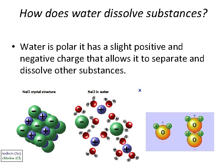 How does water dissolve substances? • Water is polar it has a slight positive