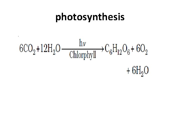 photosynthesis 