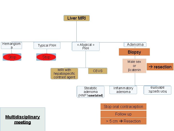 Liver MRI Typical FNH Stop « Atypical » FNH Adenoma Biopsy Stop MRI with