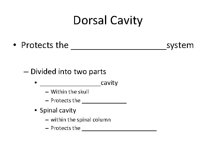 Dorsal Cavity • Protects the __________system – Divided into two parts • _________cavity –