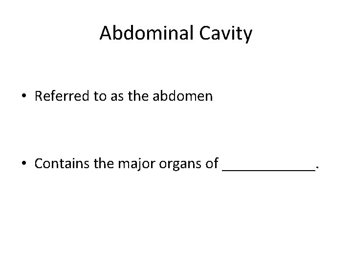 Abdominal Cavity • Referred to as the abdomen • Contains the major organs of