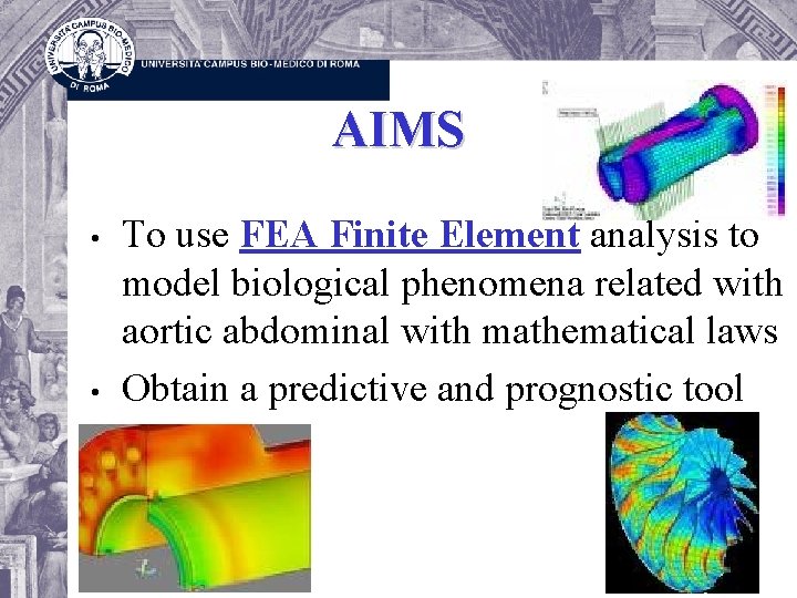 AIMS • • To use FEA Finite Element analysis to model biological phenomena related