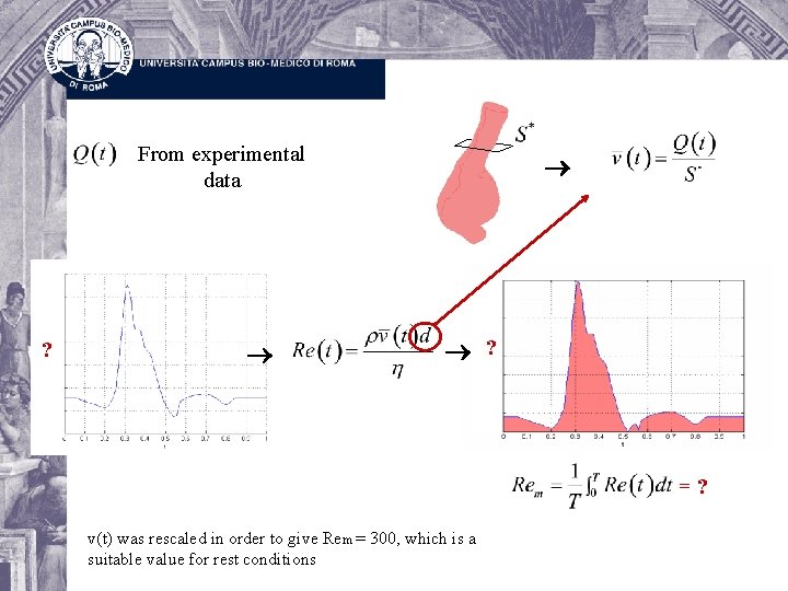 From experimental data ? ? =? v(t) was rescaled in order to give Rem