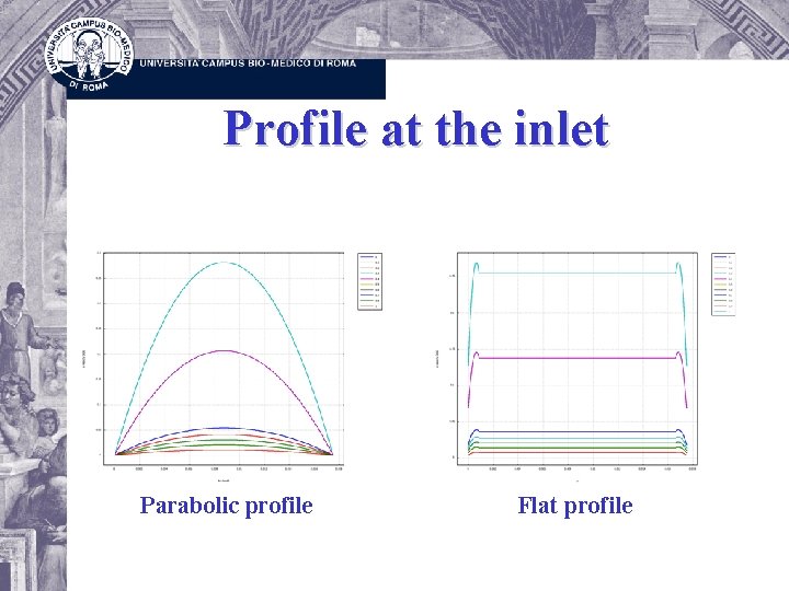 Profile at the inlet Parabolic profile Flat profile 