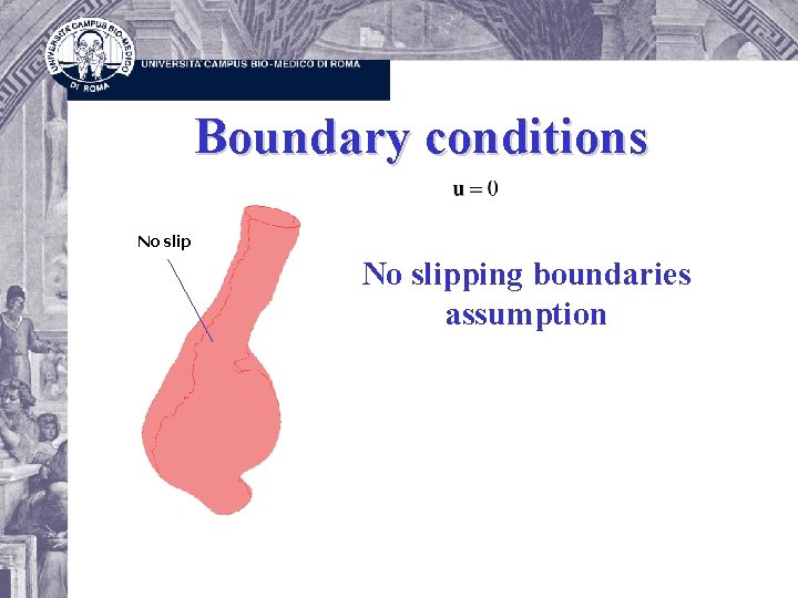 Boundary conditions No slipping boundaries assumption 