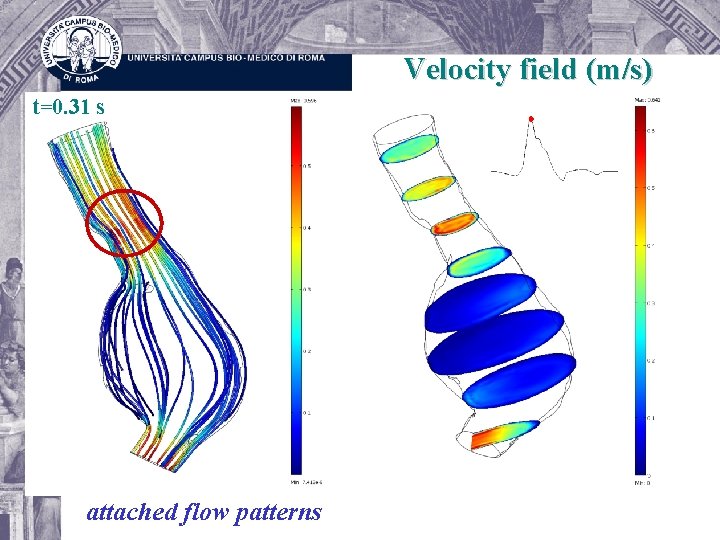 Velocity field (m/s) t=0. 31 s attached flow patterns 