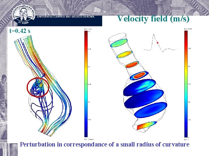 Velocity field (m/s) t=0. 42 s Perturbation in correspondance of a small radius of