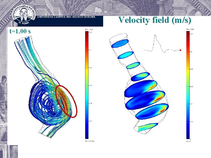 Velocity field (m/s) t=1. 00 s 