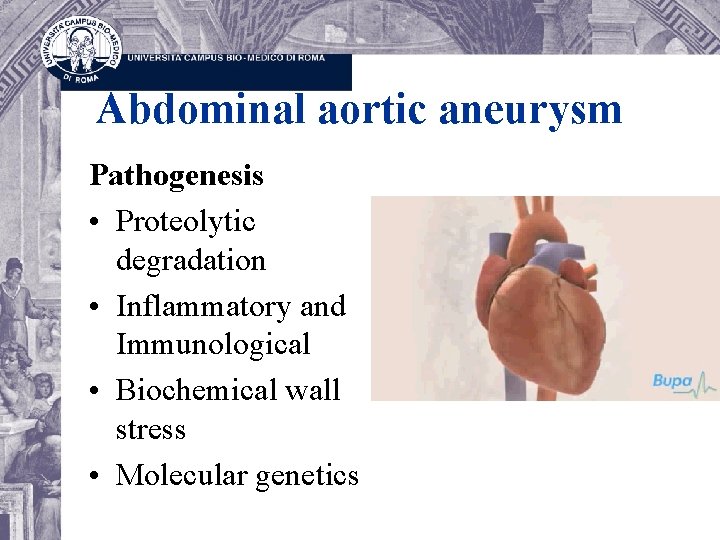 Abdominal aortic aneurysm Pathogenesis • Proteolytic degradation • Inflammatory and Immunological • Biochemical wall