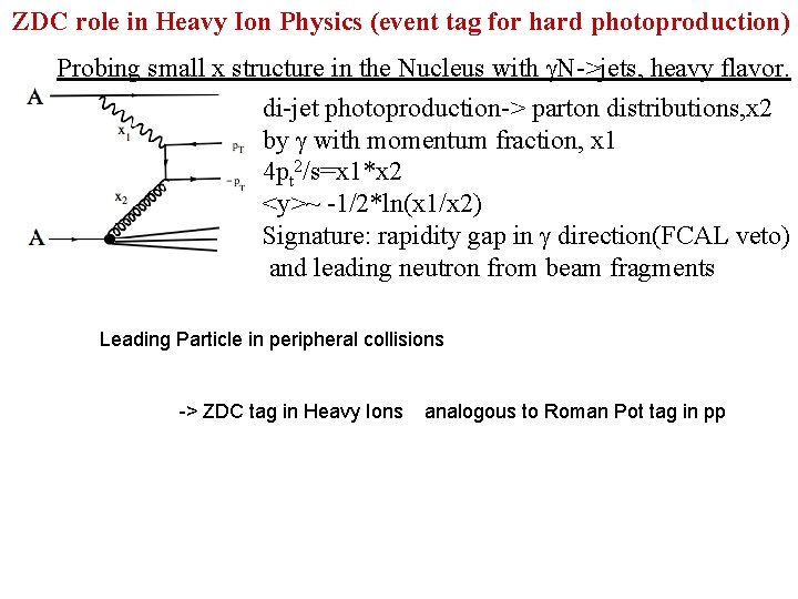 ZDC role in Heavy Ion Physics (event tag for hard photoproduction) Probing small x