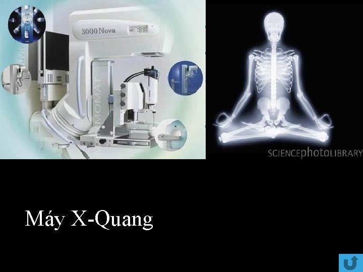 Máy X-Quang 