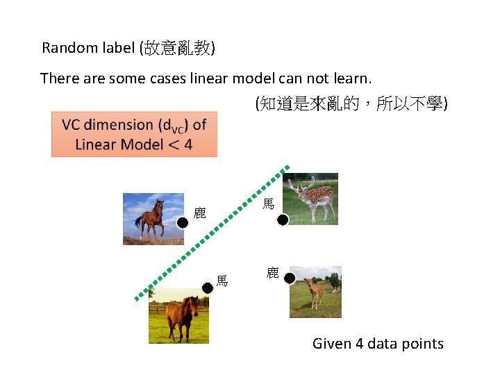 Random label (故意亂教) There are some cases linear model can not learn. (知道是來亂的，所以不學) 馬