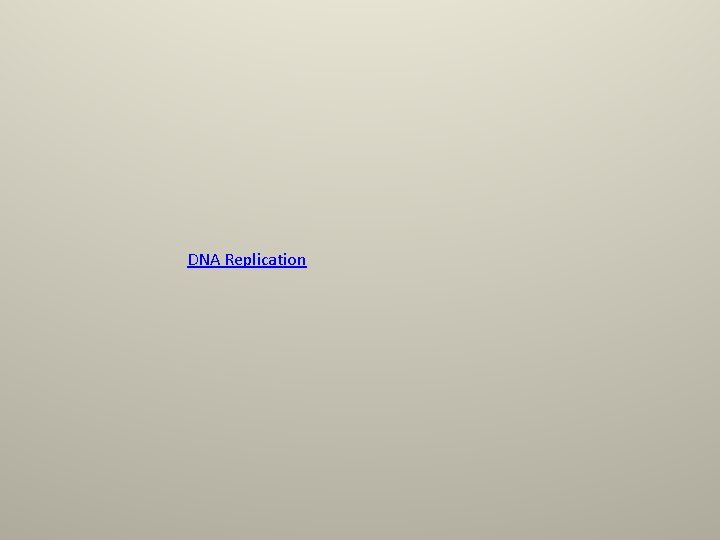 DNA Replication 