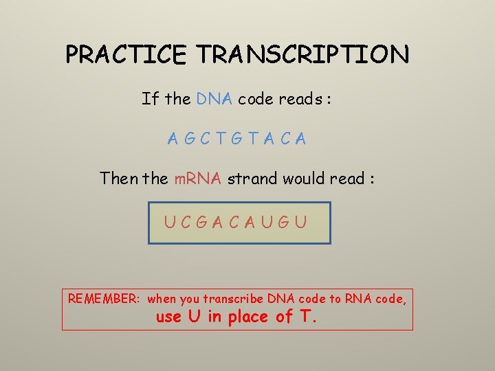 PRACTICE TRANSCRIPTION If the DNA code reads : AGCTGTACA Then the m. RNA strand