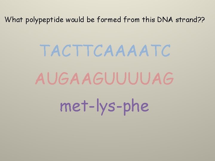 What polypeptide would be formed from this DNA strand? ? TACTTCAAAATC AUGAAGUUUUAG met-lys-phe 