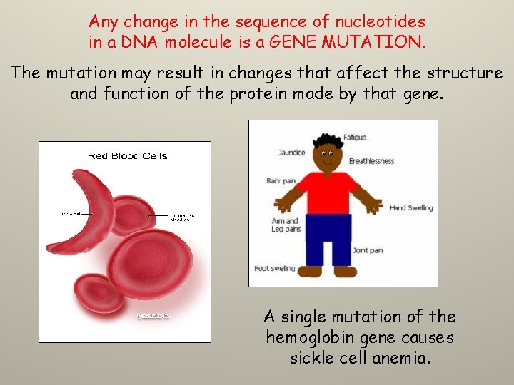 Any change in the sequence of nucleotides in a DNA molecule is a GENE