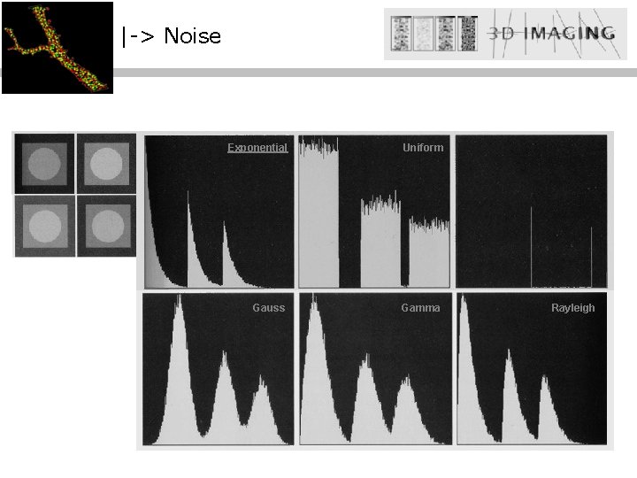 |-> Noise Exponential Gauss Uniform Gamma Rayleigh 