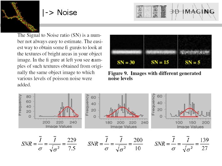 |-> Noise 