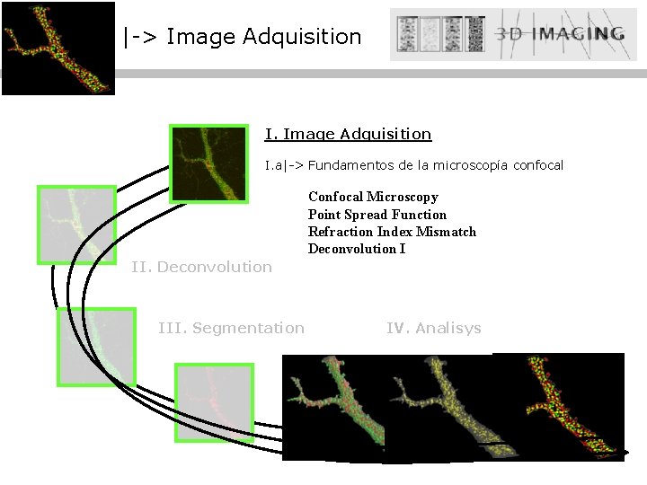 |-> Image Adquisition I. a|-> Fundamentos de la microscopía confocal Confocal Microscopy Point Spread