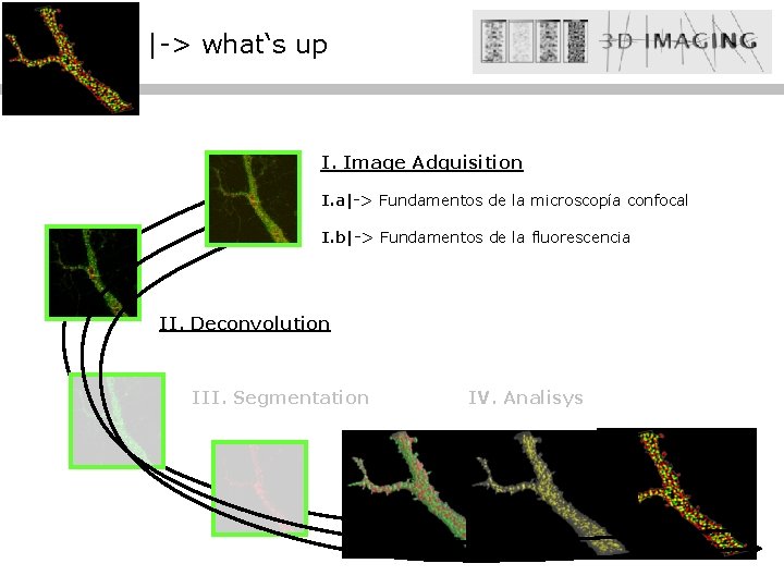 |-> what‘s up I. Image Adquisition I. a|-> Fundamentos de la microscopía confocal I.