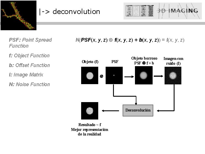 |-> deconvolution PSF: Point Spread Function N(PSF(x, y, z) f(x, y, z) + b(x,