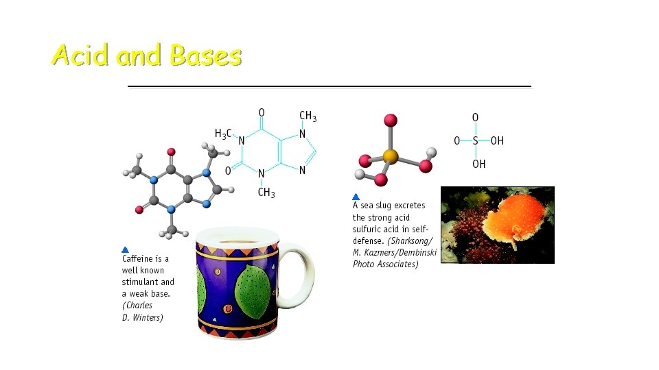 Acid and Bases 