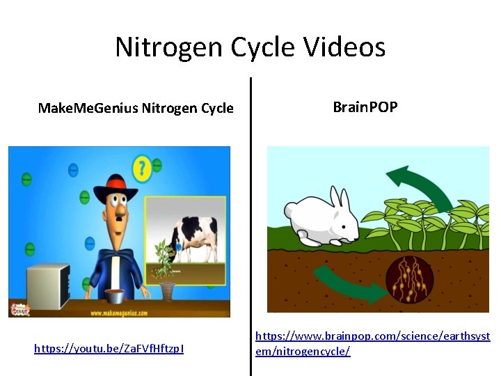 Nitrogen Cycle Videos Make. Me. Genius Nitrogen Cycle https: //youtu. be/Za. FVf. Hftzp. I