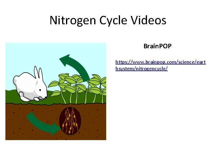 Nitrogen Cycle Videos Brain. POP https: //www. brainpop. com/science/eart hsystem/nitrogencycle/ 