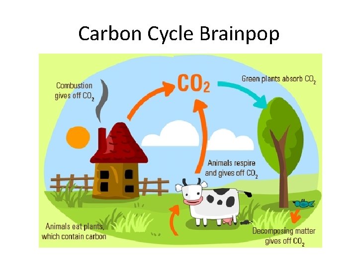 Carbon Cycle Brainpop 