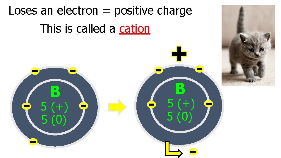 Loses an electron = positive charge This is called a cation B 5 (+)