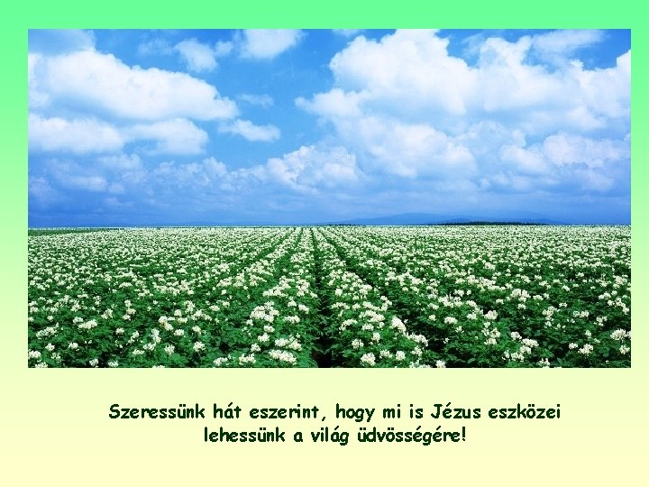 Szeressünk hát eszerint, hogy mi is Jézus eszközei lehessünk a világ üdvösségére! 