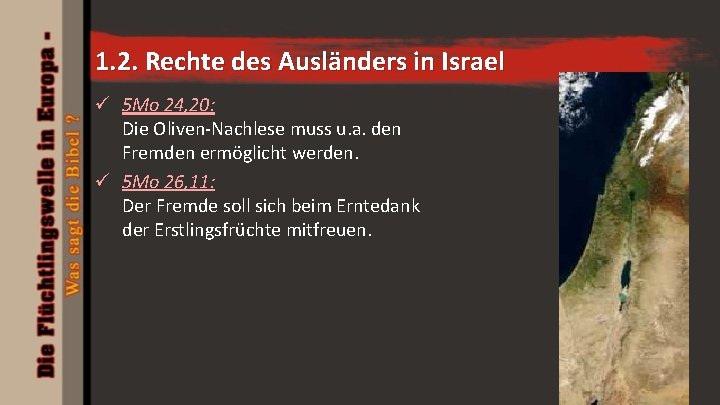 1. 2. Rechte des Ausländers in Israel ü 5 Mo 24, 20: Die Oliven-Nachlese