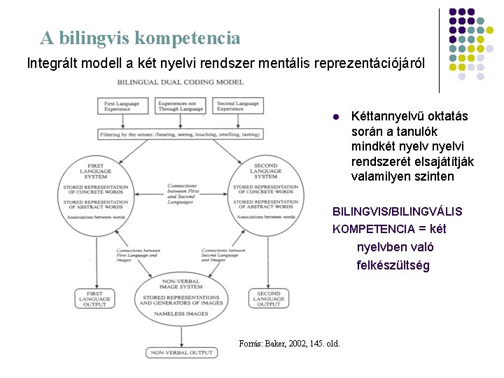 A bilingvis kompetencia Integrált modell a két nyelvi rendszer mentális reprezentációjáról l Kéttannyelvű oktatás
