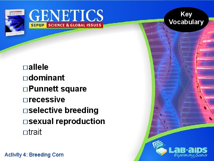 Key Vocabulary � allele � dominant � Punnett square � recessive � selective breeding