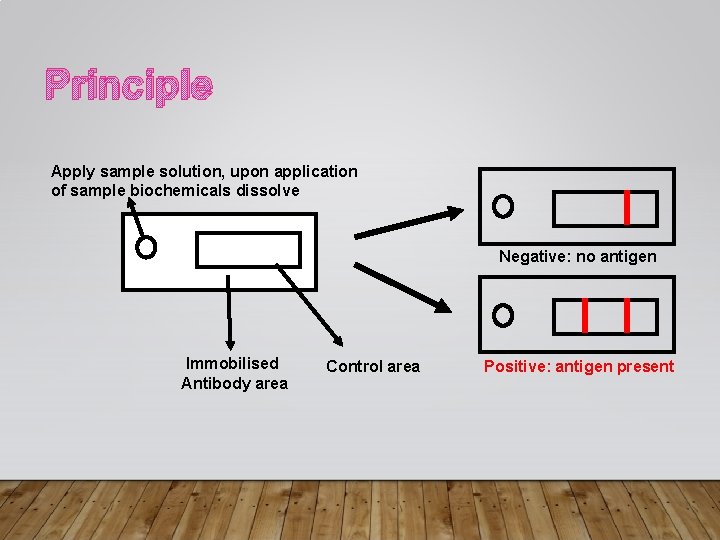 Principle Apply sample solution, upon application of sample biochemicals dissolve Negative: no antigen Immobilised