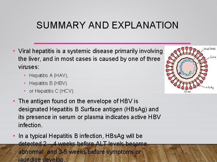 SUMMARY AND EXPLANATION • Viral hepatitis is a systemic disease primarily involving the liver,