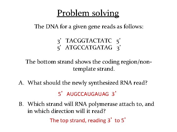Problem solving The DNA for a given gene reads as follows: 3’ TACGGTACTATC 5’