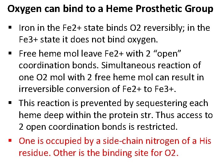 Oxygen can bind to a Heme Prosthetic Group § Iron in the Fe 2+