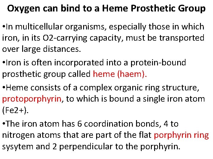 Oxygen can bind to a Heme Prosthetic Group • In multicellular organisms, especially those