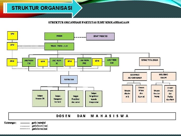 STRUKTUR ORGANISASI 