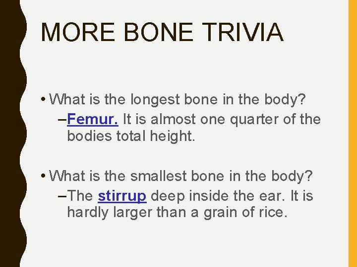 MORE BONE TRIVIA • What is the longest bone in the body? –Femur. It