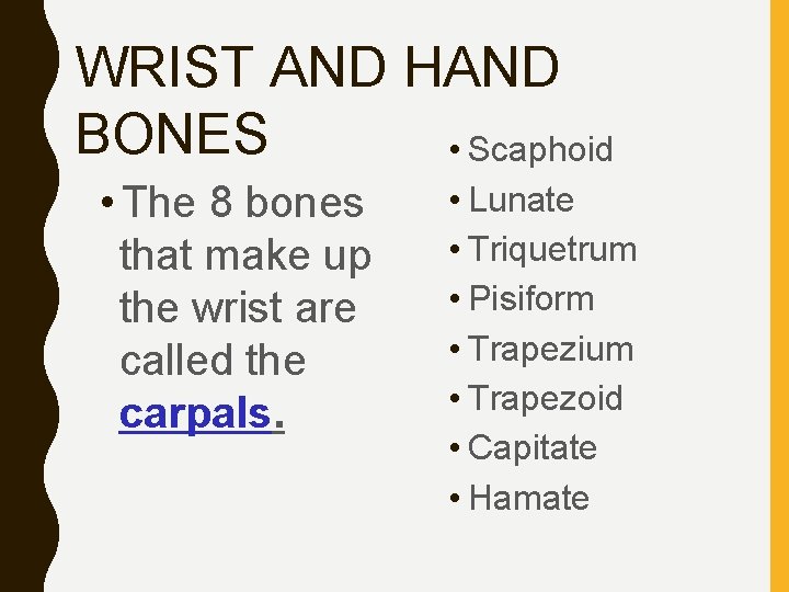 WRIST AND HAND BONES • Scaphoid • The 8 bones that make up the