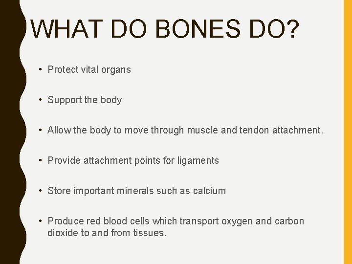 WHAT DO BONES DO? • Protect vital organs • Support the body • Allow