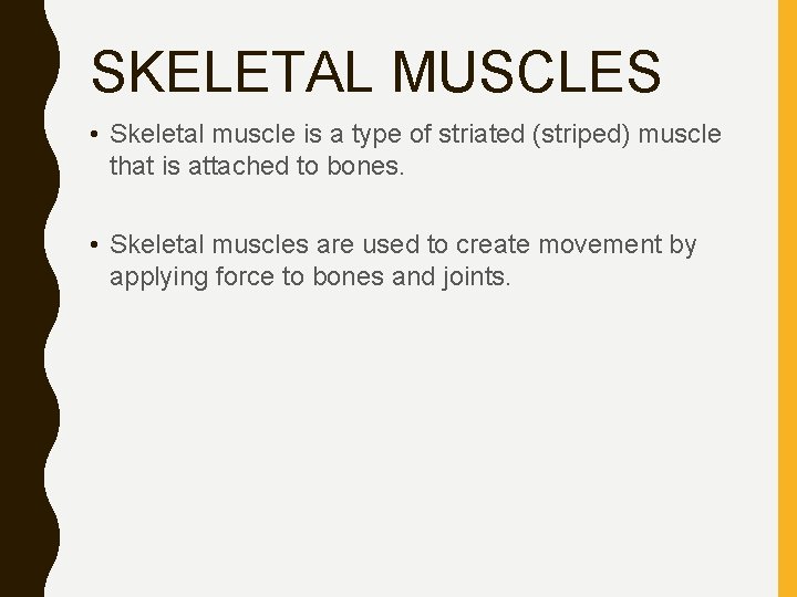 SKELETAL MUSCLES • Skeletal muscle is a type of striated (striped) muscle that is
