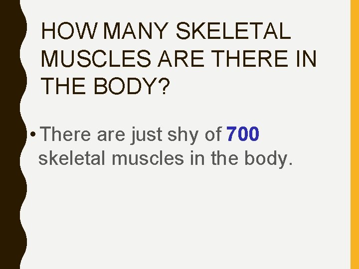 HOW MANY SKELETAL MUSCLES ARE THERE IN THE BODY? • There are just shy