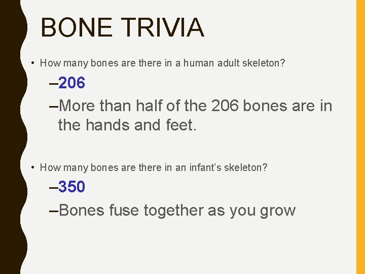 BONE TRIVIA • How many bones are there in a human adult skeleton? –