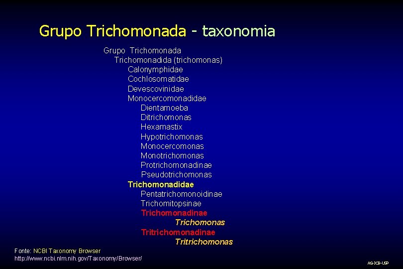 Grupo Trichomonada - taxonomia Grupo Trichomonada Trichomonadida (trichomonas) Calonymphidae Cochlosomatidae Devescovinidae Monocercomonadidae Dientamoeba Ditrichomonas