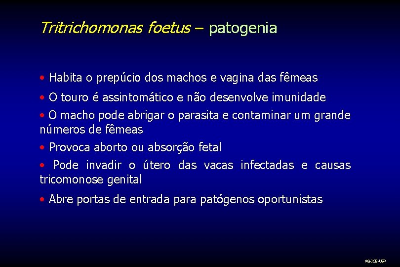 Tritrichomonas foetus – patogenia • Habita o prepúcio dos machos e vagina das fêmeas