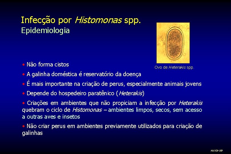 Infecção por Histomonas spp. Epidemiologia • Não forma cistos Ovo de Heterakis spp. •