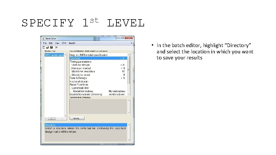 SPECIFY st 1 LEVEL • In the batch editor, highlight “Directory” and select the